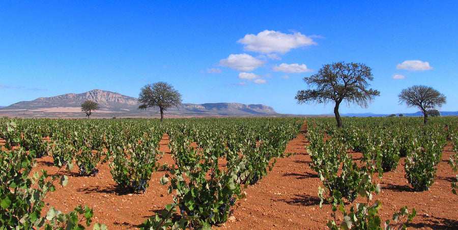 Almansa