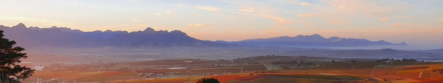 Stellenbosch