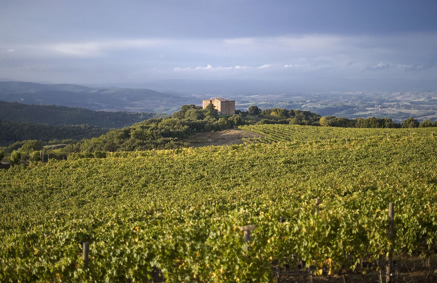 Brunello di Montalcino