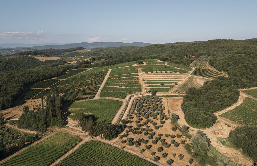 Chianti