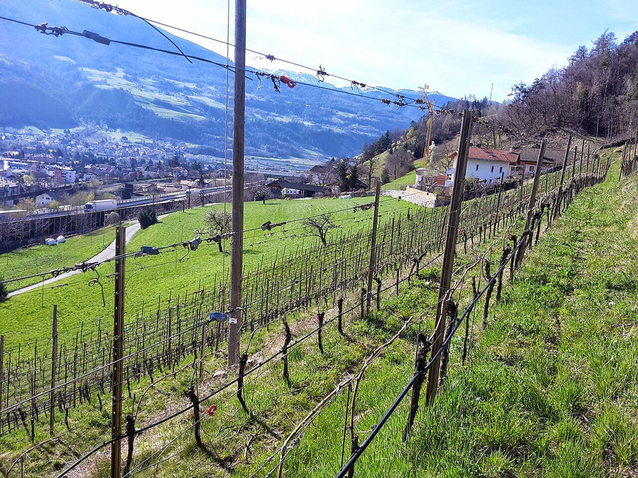 Alto Adige