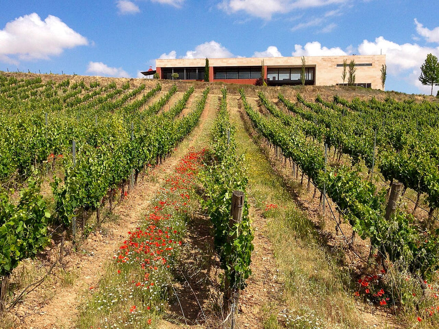Ribera del Duero
