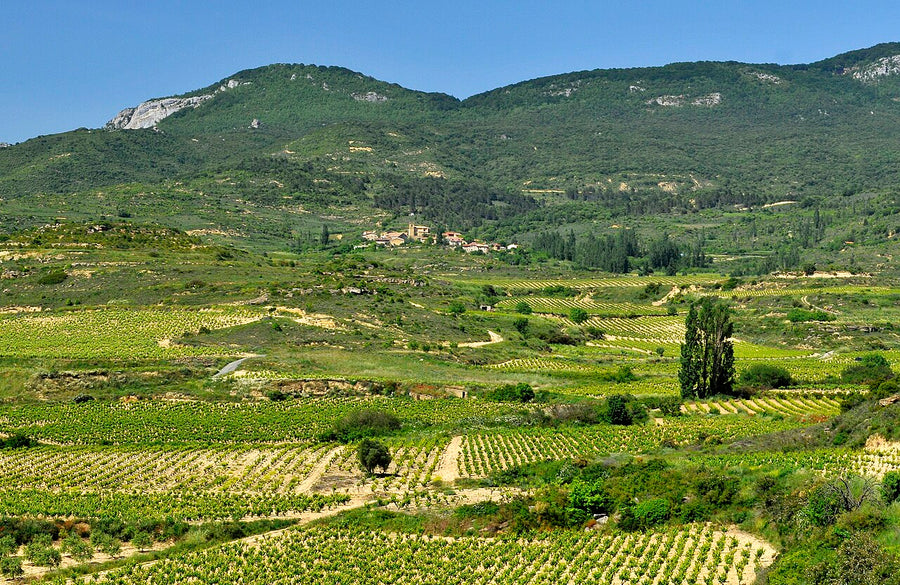Spanje