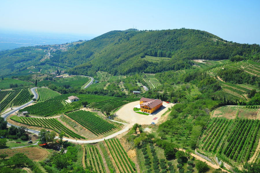 Amarone