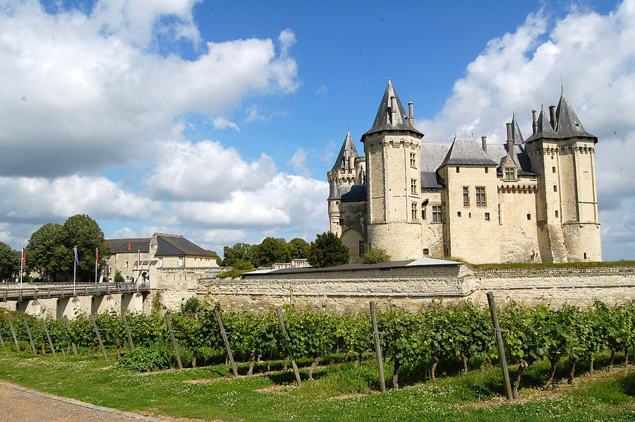 Chinon