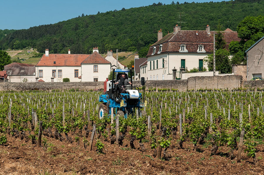 Gevrey-Chambertin