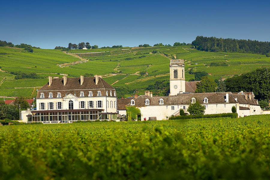 Pommard