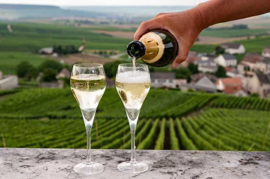 Champagneglazen in de wijngaard