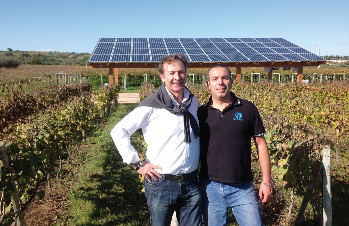 Azienda Collefrisio