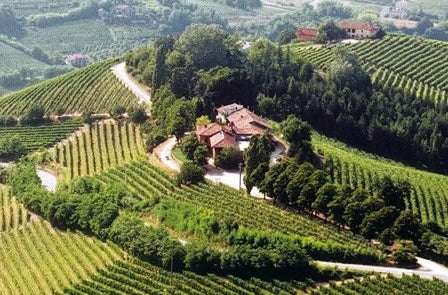 Azienda Rizzi