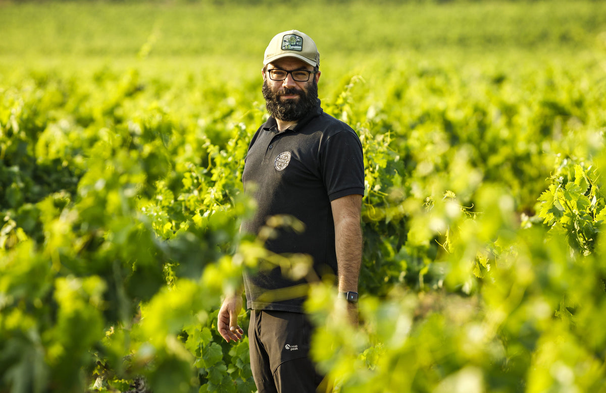 Bodegas Artélan