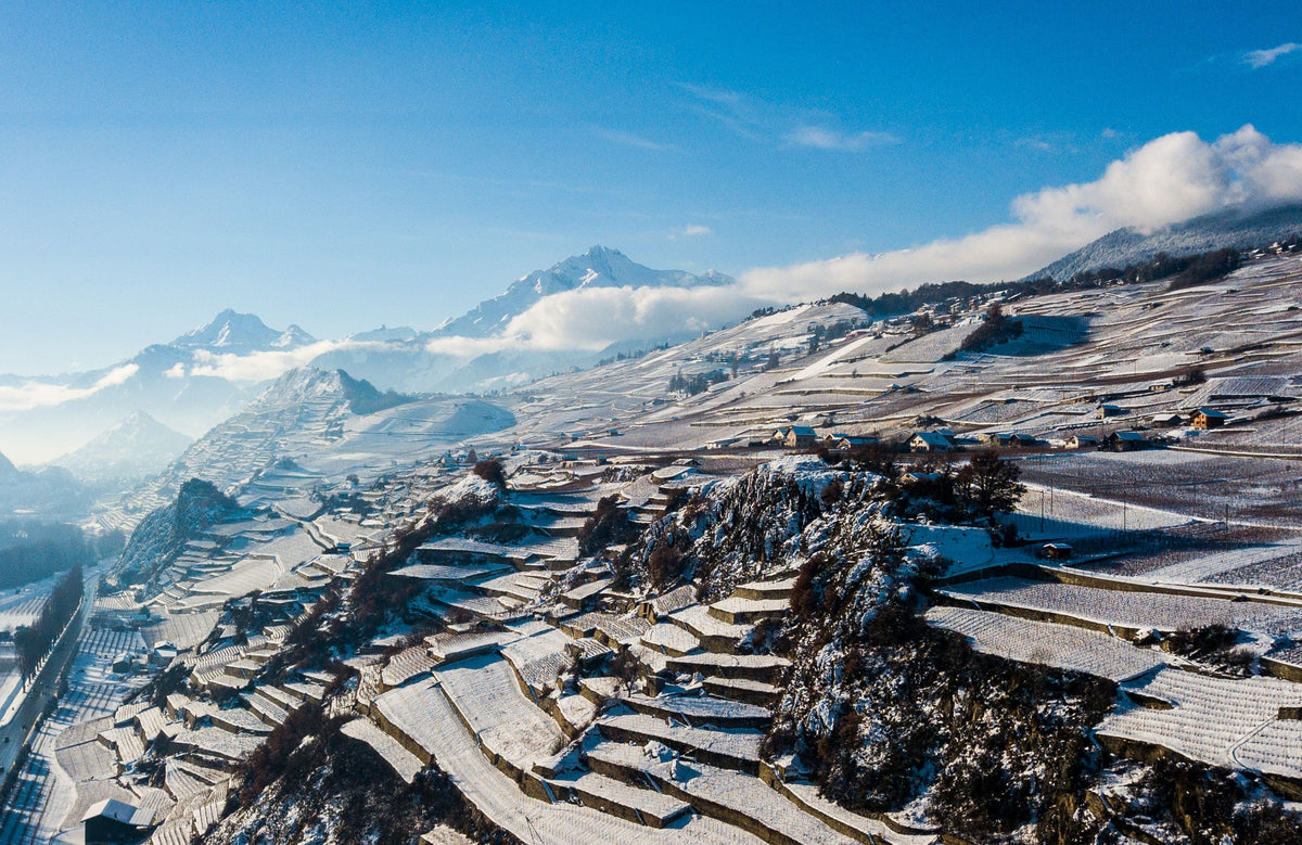 Bonvin