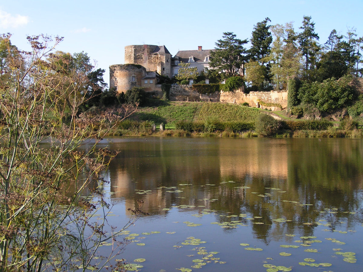 Château Rieussec