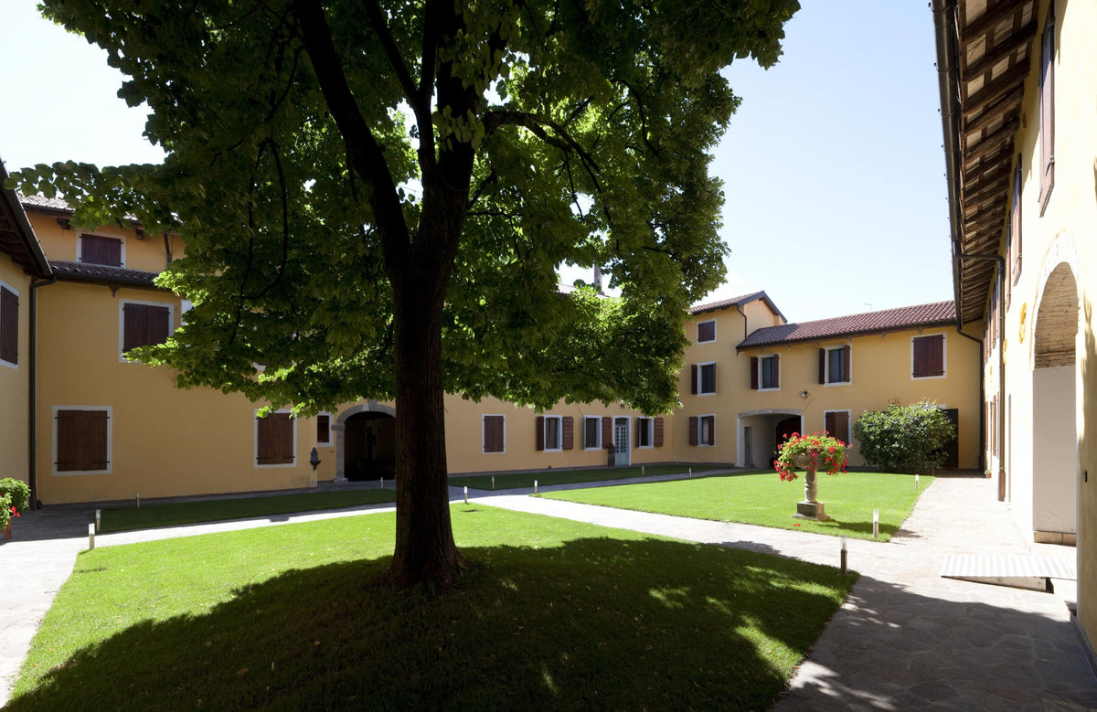 Di Lenardo Vineyards