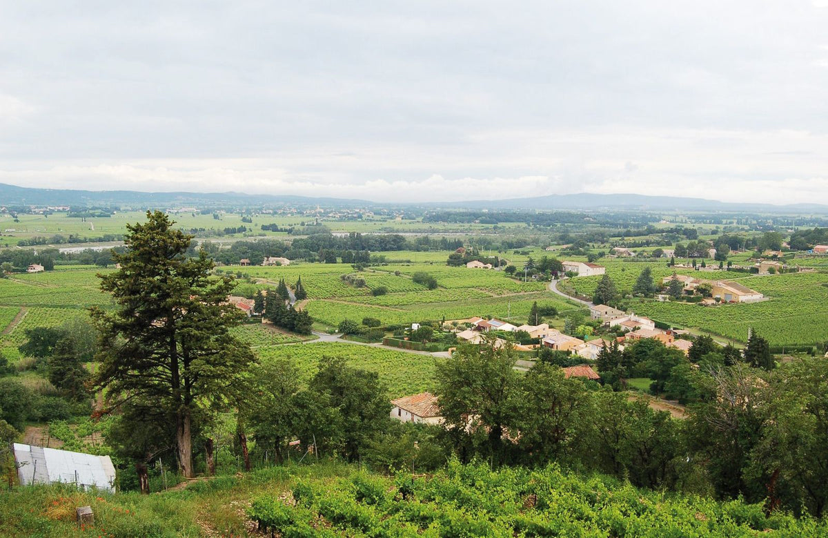 Domaine Alary