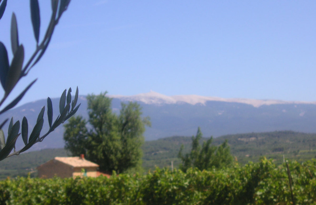 Domaine du Bon Remède