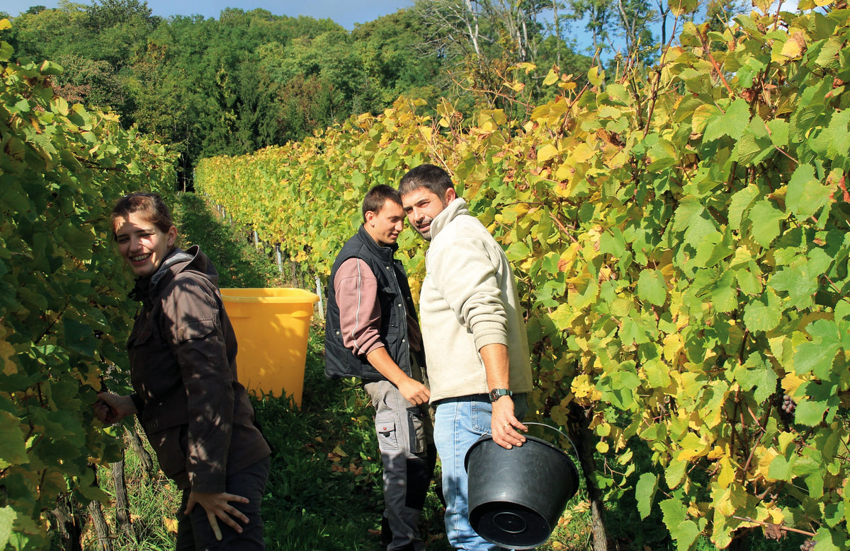 Domaine Loew