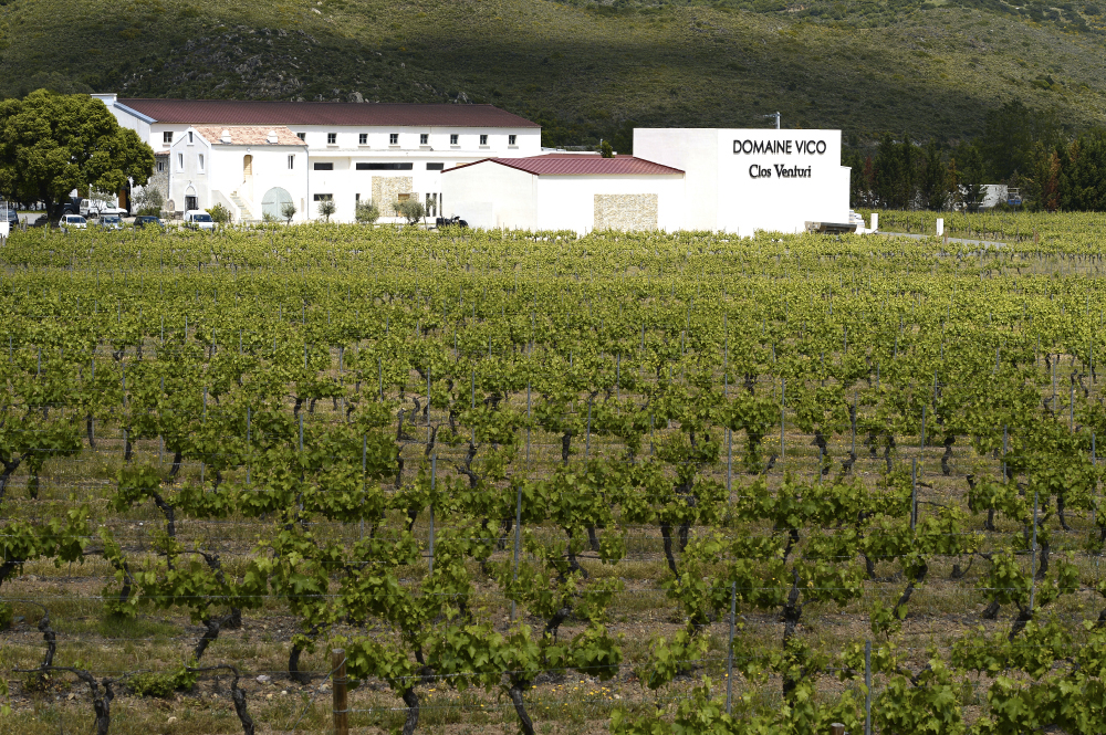Domaine Vico