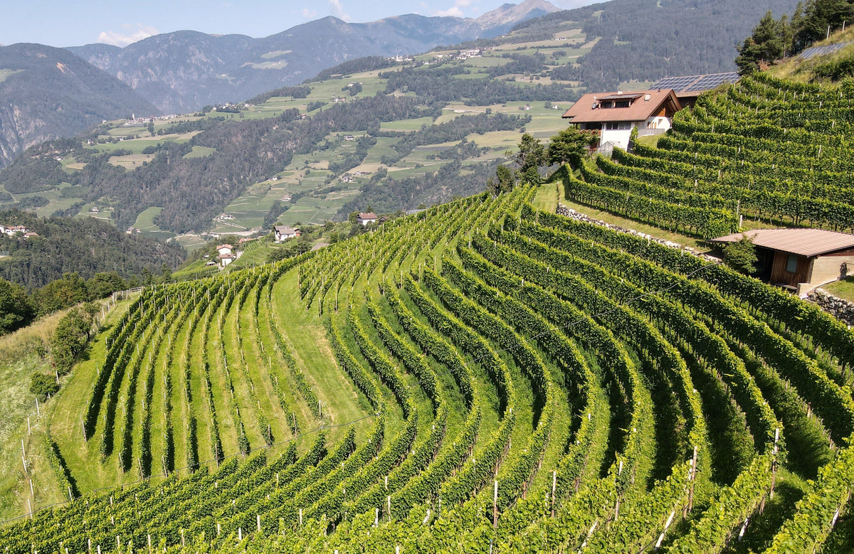 Eisacktal Weinkellerei