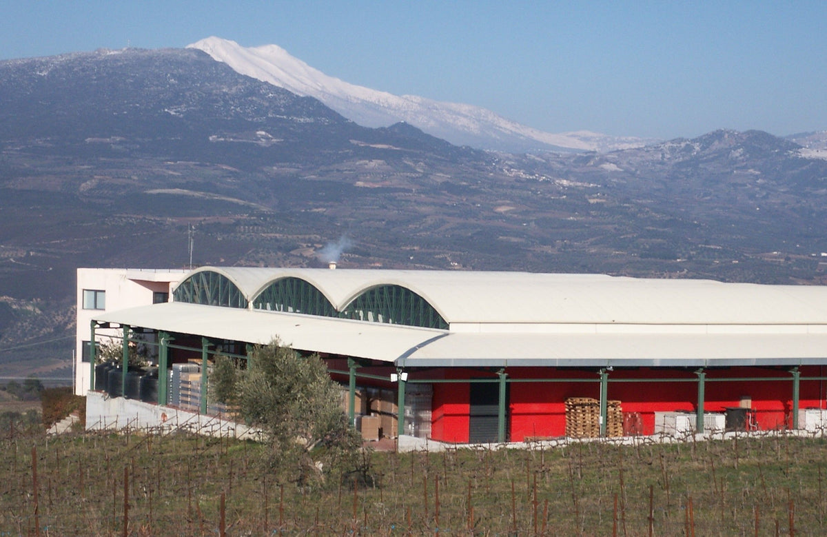 Gaia Wines