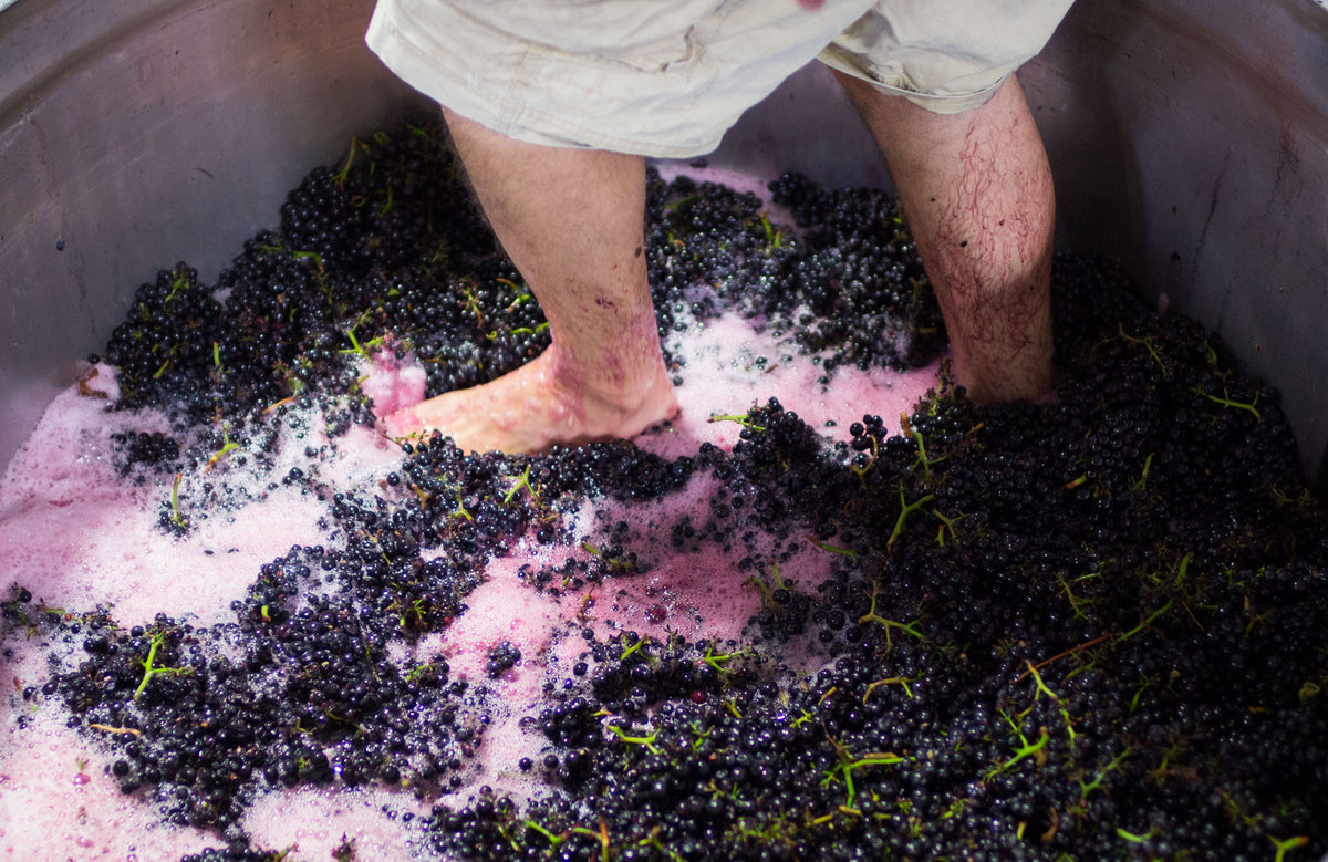 Kutch Wines