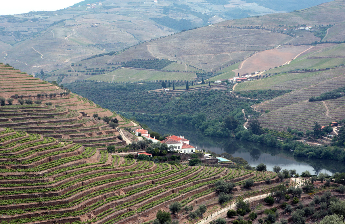 Quinta da Romaneira temidden van de wijngaarden