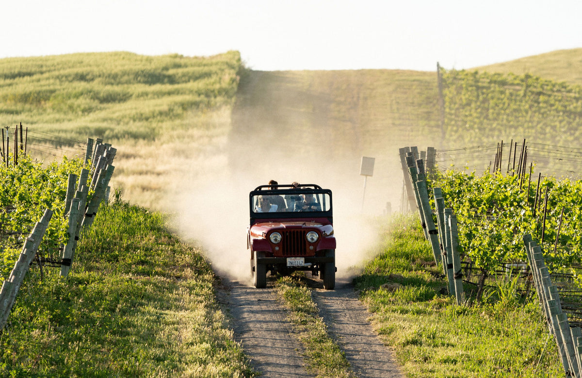 Talley Vineyards