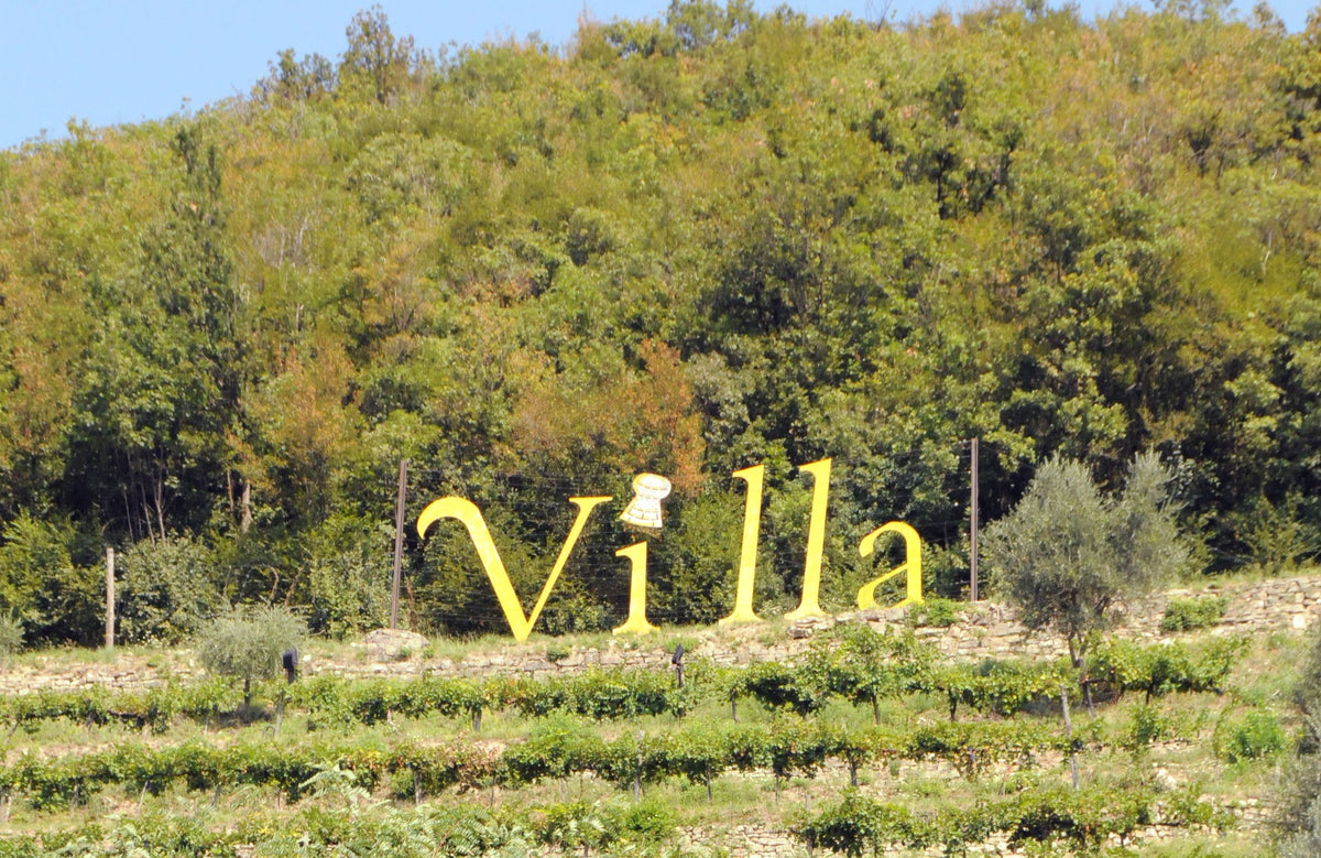 Een van de wijngaarden van Villa