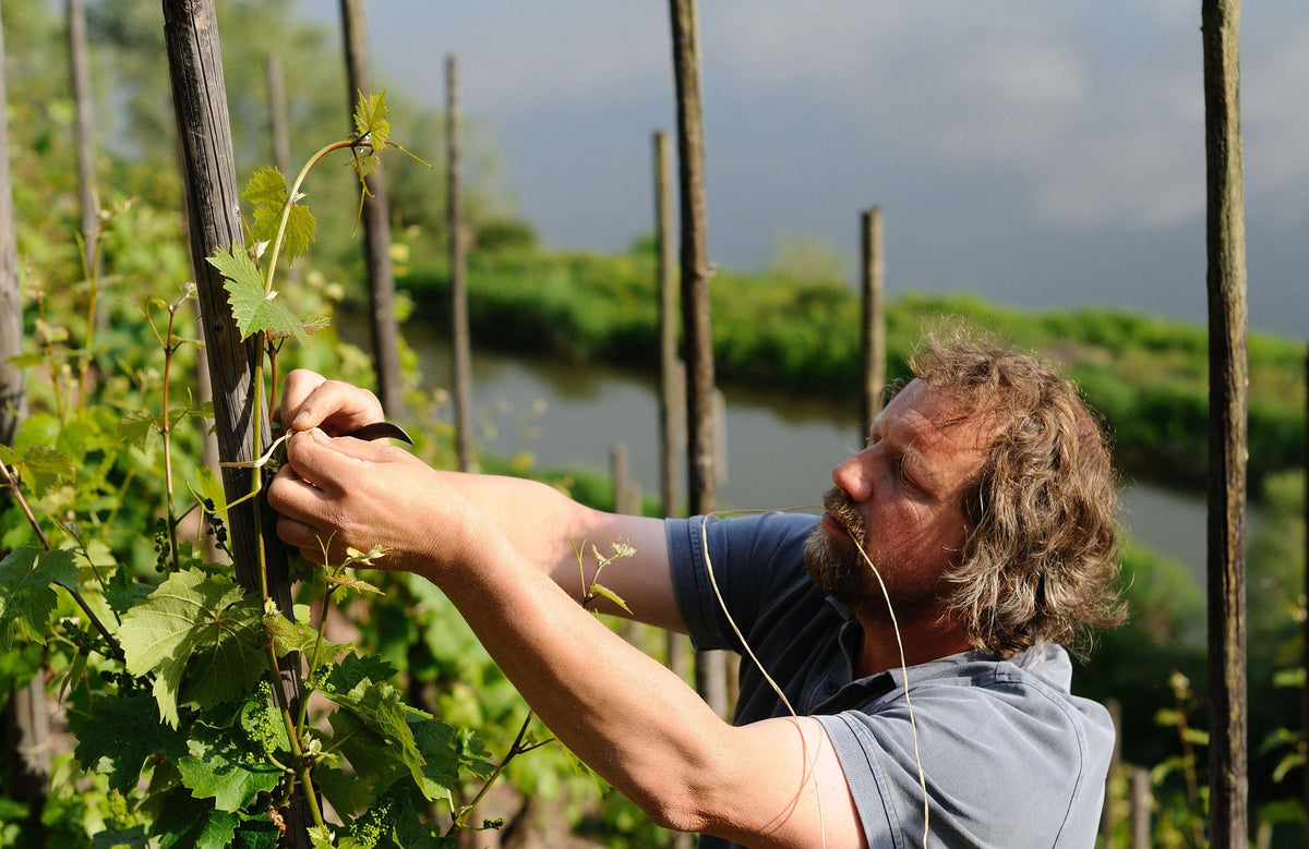Weingut Clemens Busch