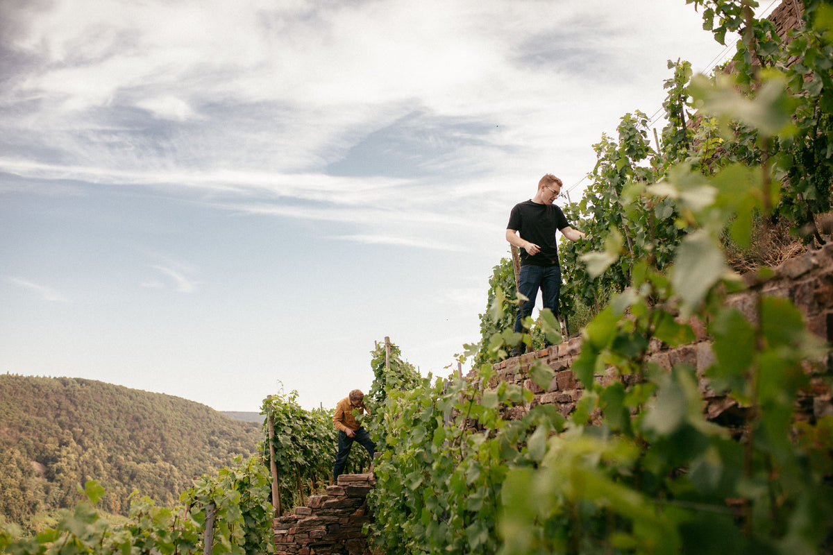 Weingut Daniel Fries