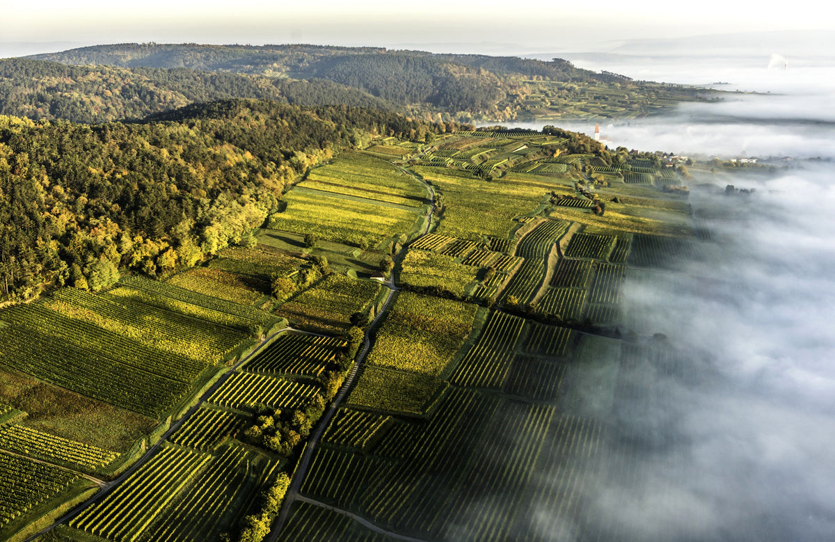 Weingut Huber