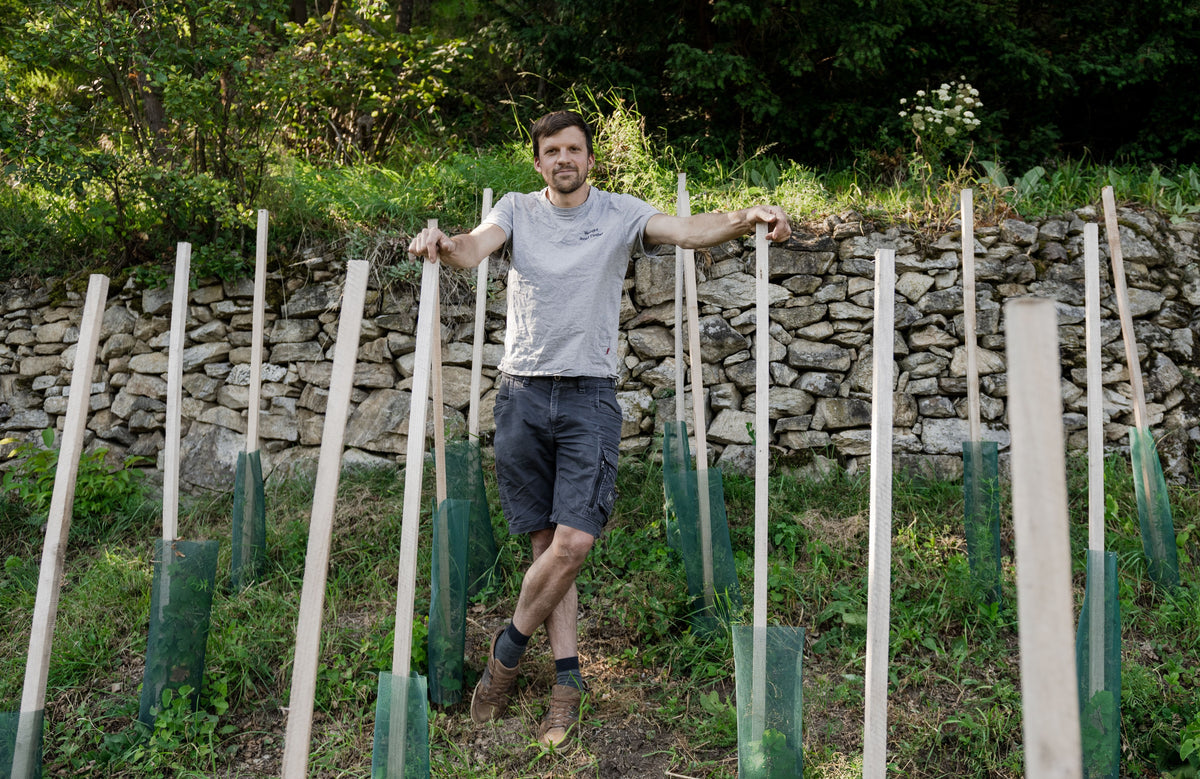 Weingut Josef Fischer