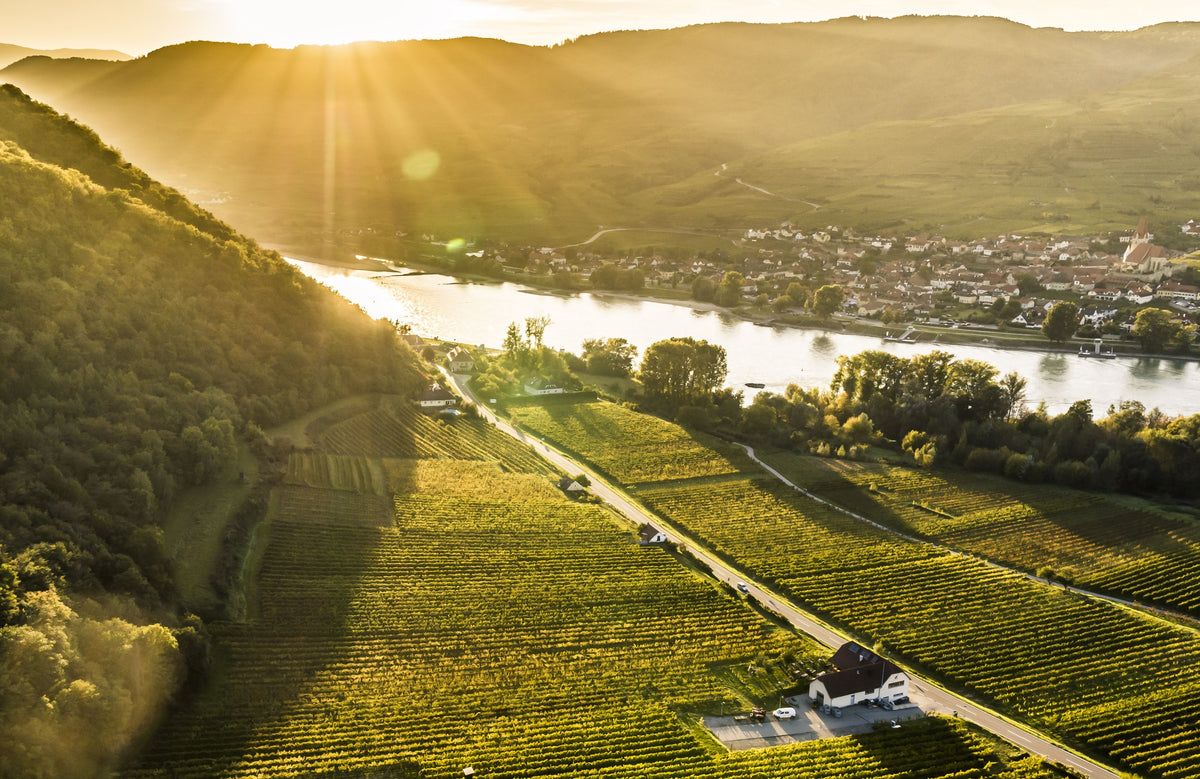 Het domein en de wijngaarden aan de Donau