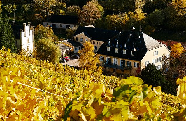 Weingut Karthäuserhof