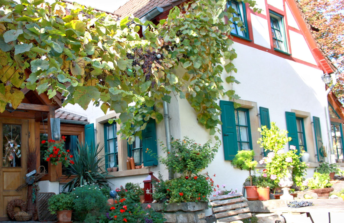 Weingut Thörle