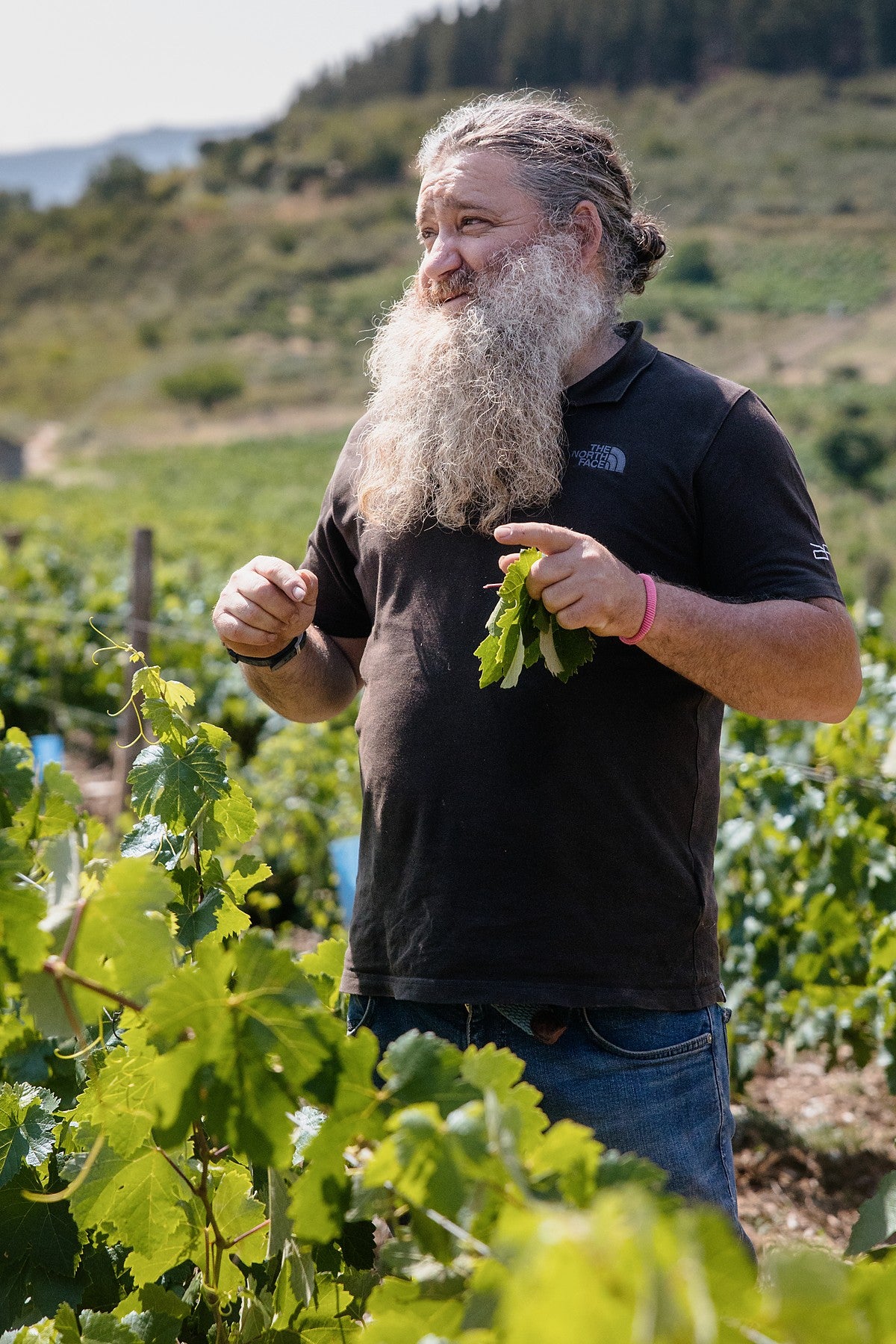Raúl Pérez in zijn wijngaard in Bierzo