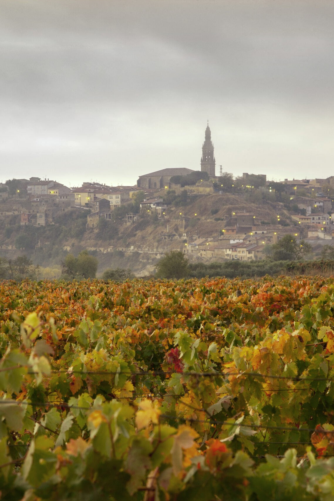 Bodegas Vivanco in Briones, Rioja