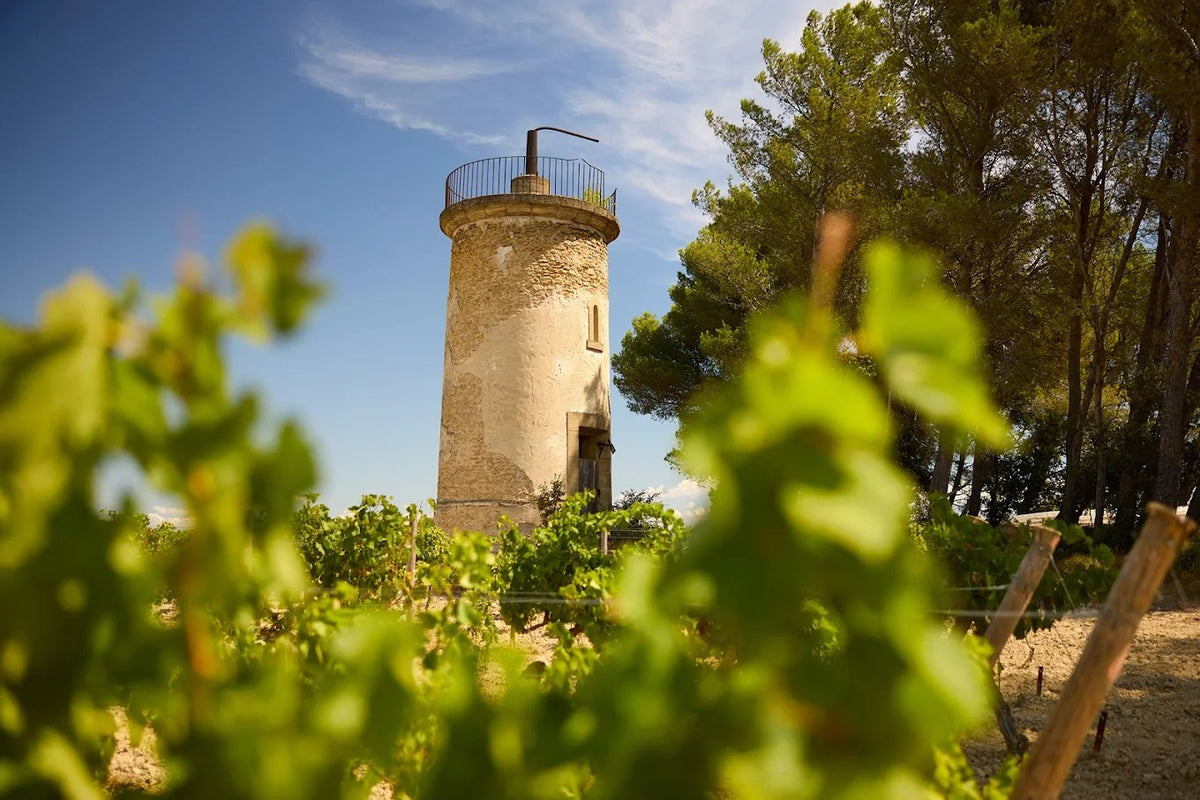 Oranje - toren in de wijngaard