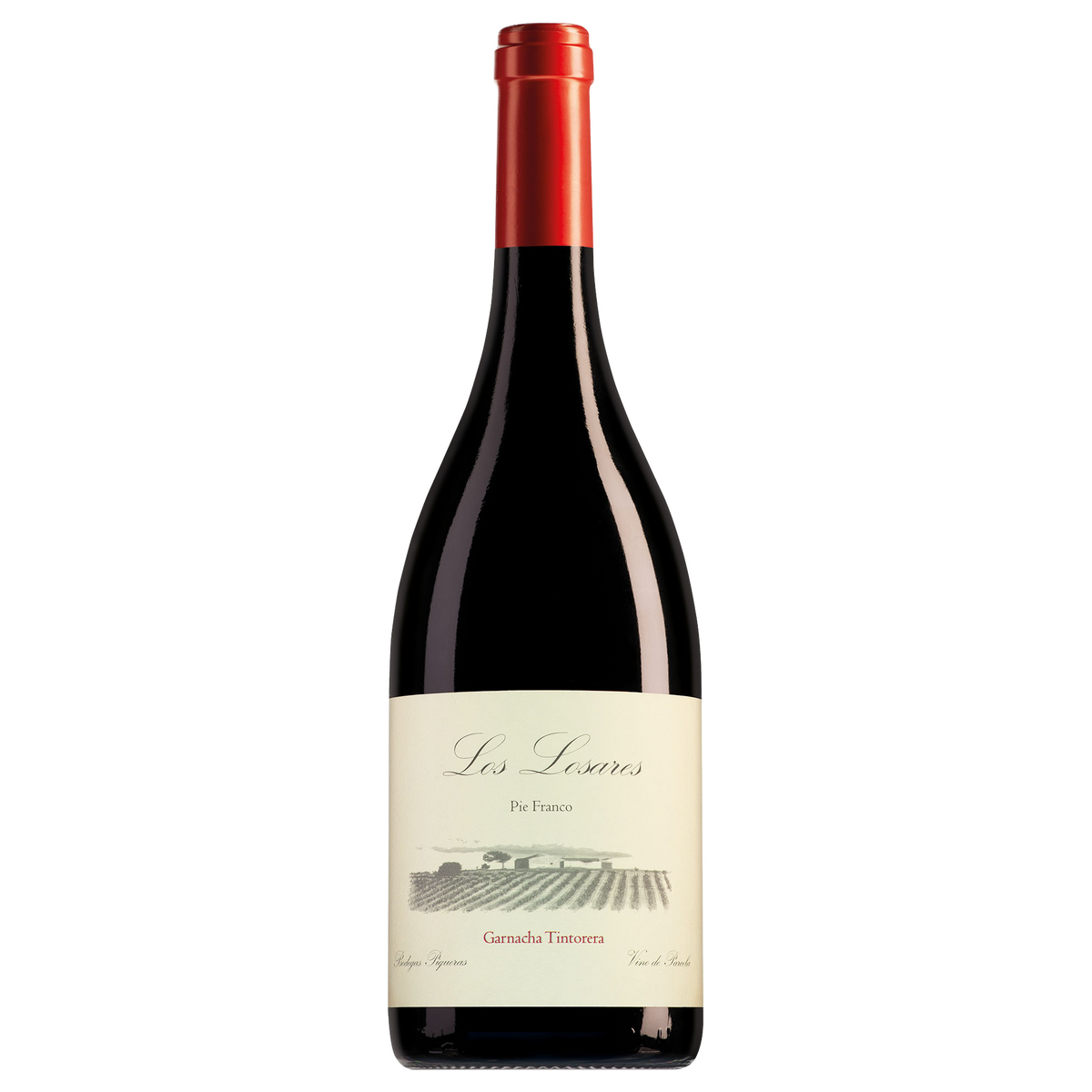 Bodegas Piqueras Almansa Los Losares Garnacha Tintorera