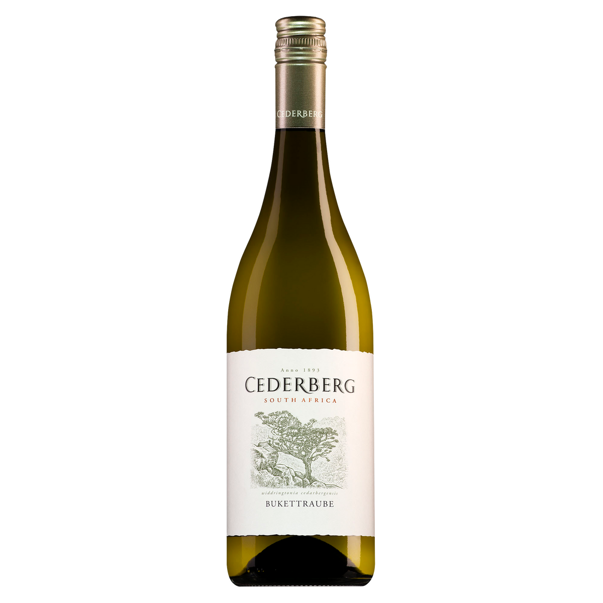 Cederberg Bukettraube