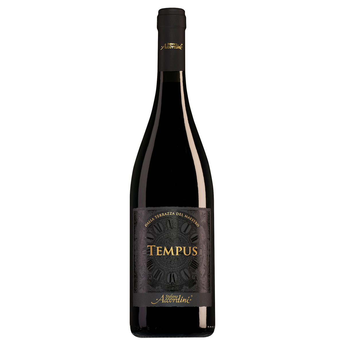 Stefano Accordini Veneto Tempus