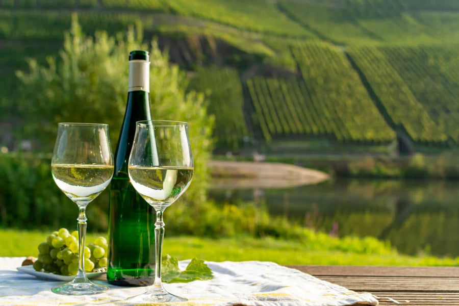 Riesling druiven en wijngaard