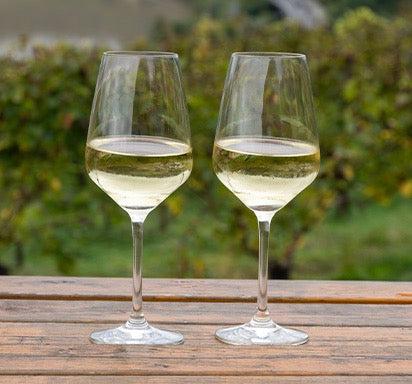 Sauvignon Blanc in glas