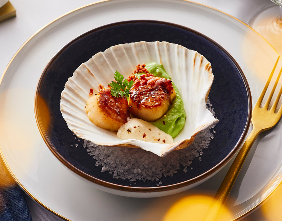 Coquilles close-up (banner)