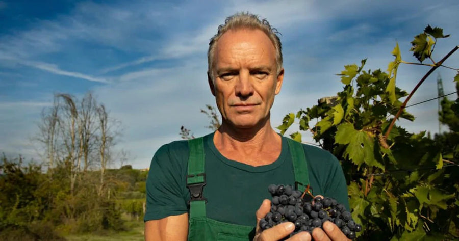 Sting in de wijngaard