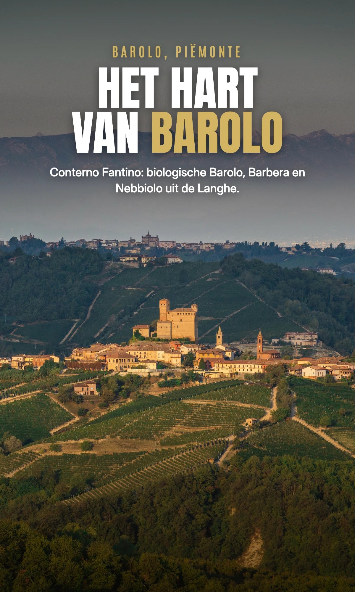 Het hart van Barolo