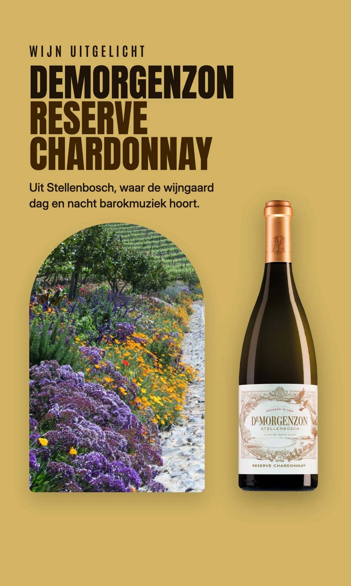 DeMorgenzon Reserve Chardonnay