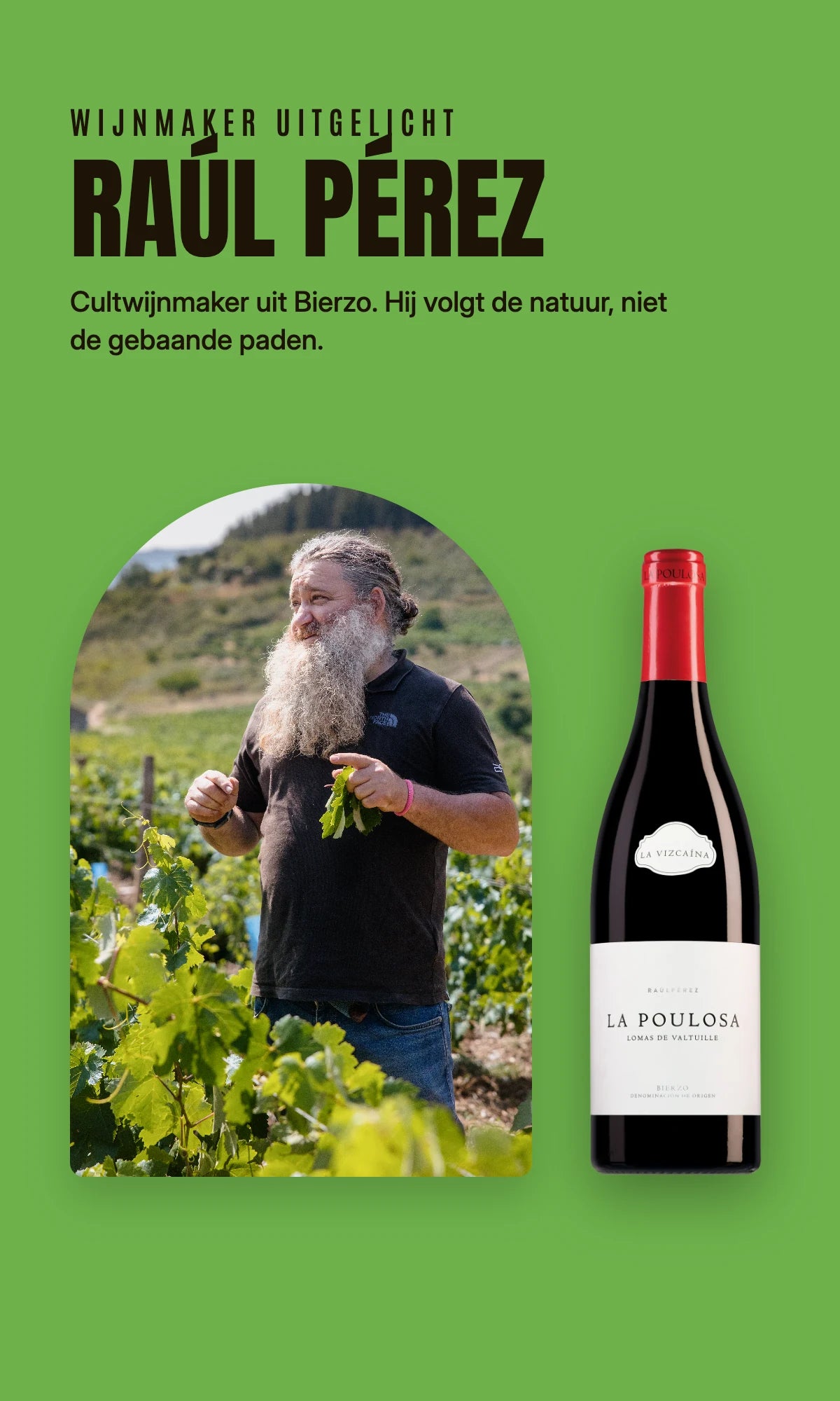 Raúl Pérez, de visionair van Bierzo