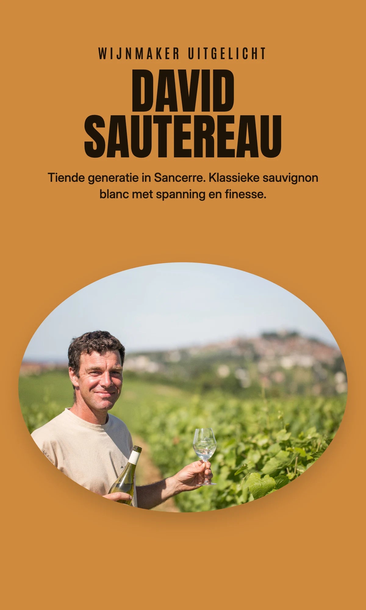 David Sautereau, Sancerre